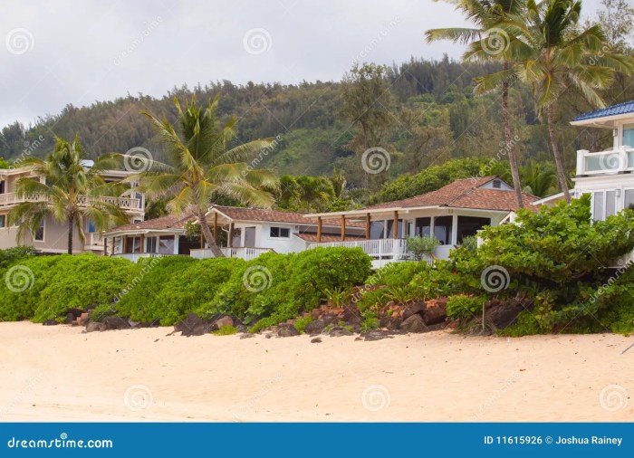 Houses to rent in hawaii